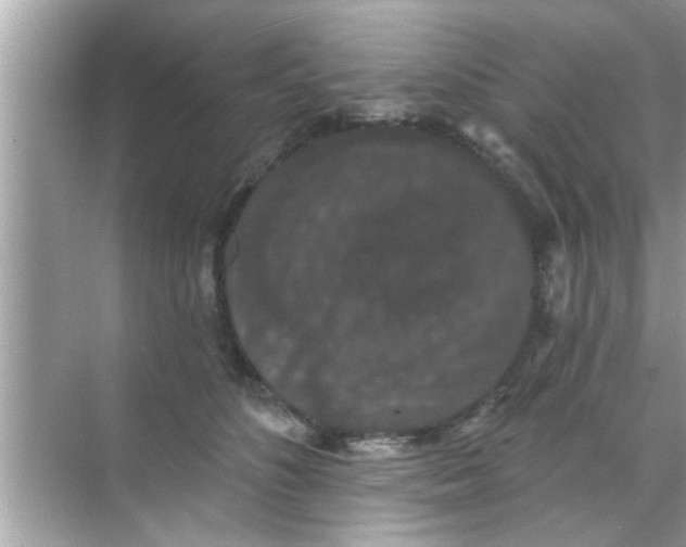 X0000070860516200606302049