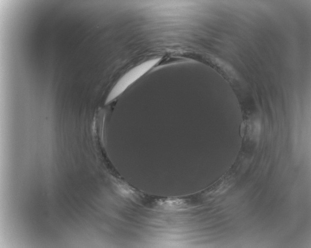 X0000070860517200606302049