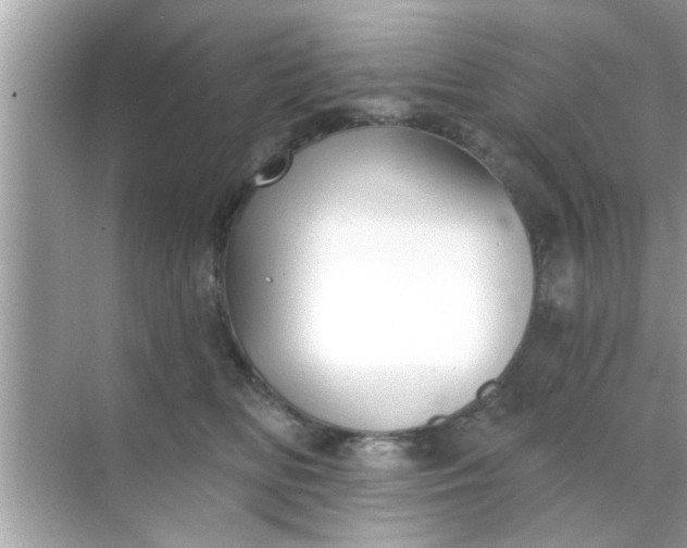 X0000070860518200606302049