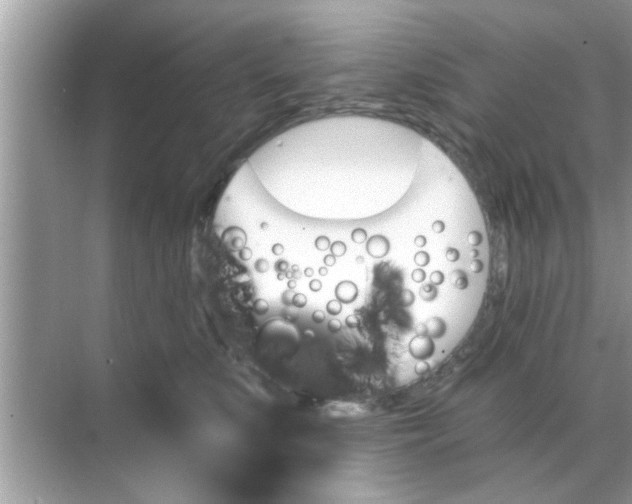 X0000070860519200606302049