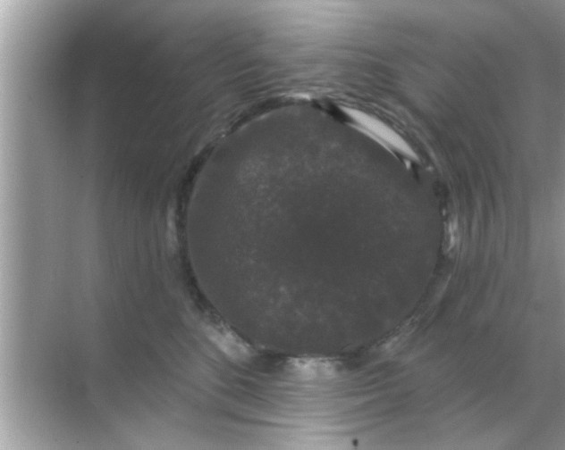 X0000070860520200606302049