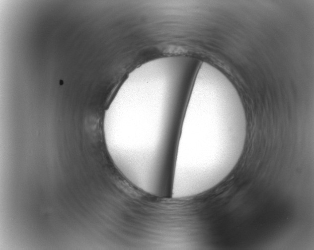 X0000070860521200606302049