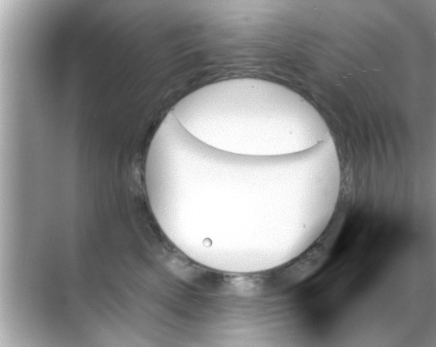 X0000070860522200606302049