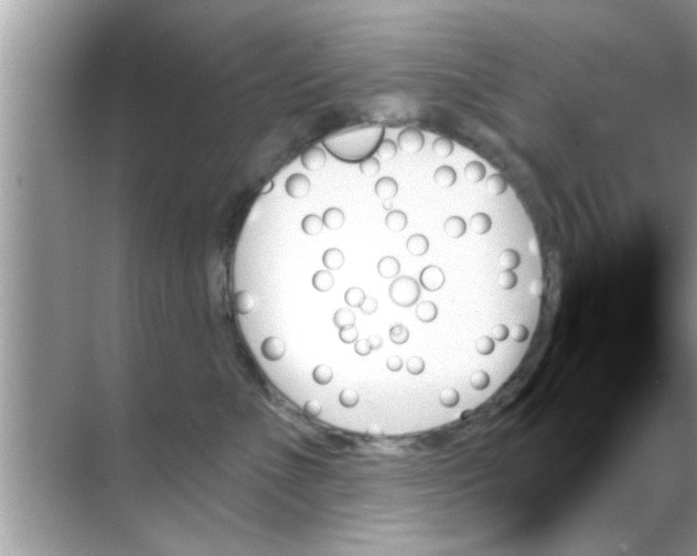 X0000070860523200606302049