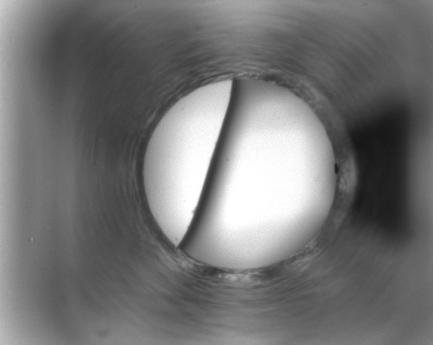 X0000070860524200606302049