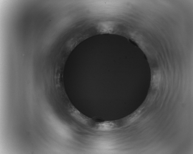 X0000070860525200606302049