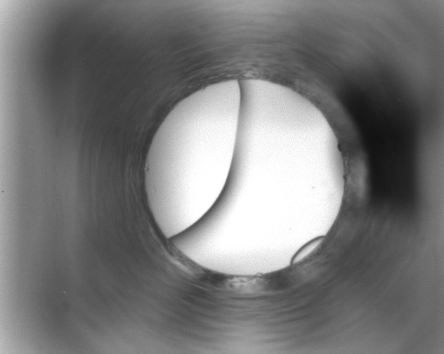 X0000070860526200606302049