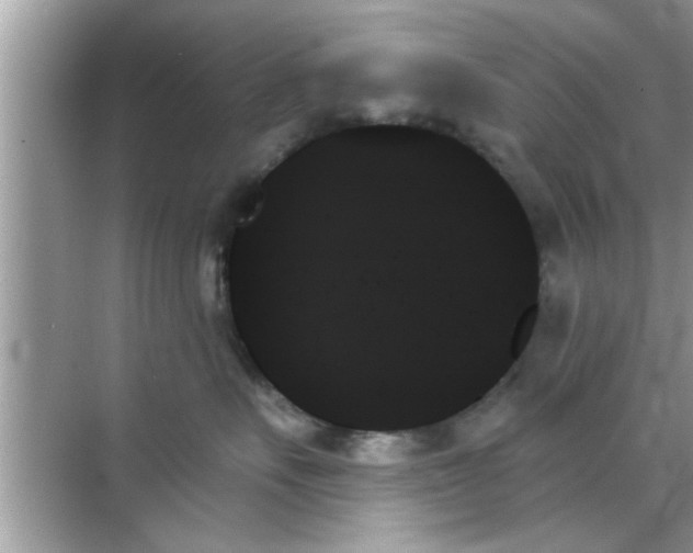 X0000070860527200606302049