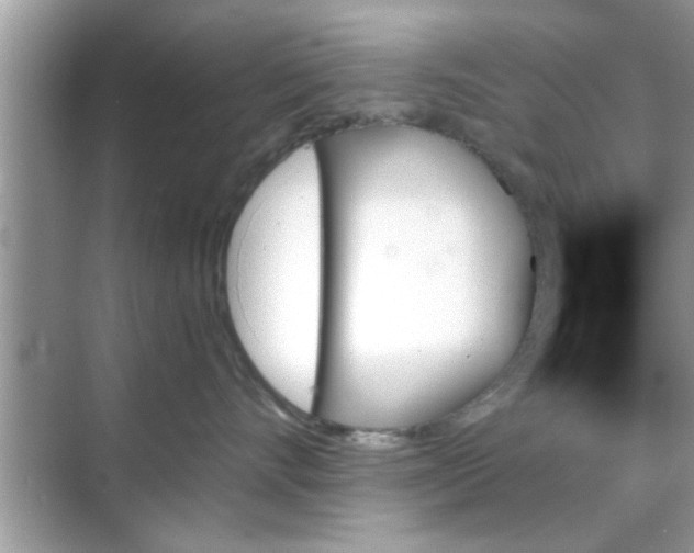 X0000070860528200606302049