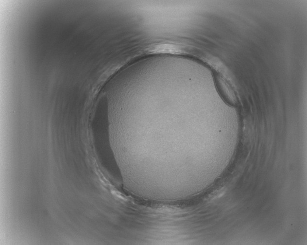 X0000070860529200606302048