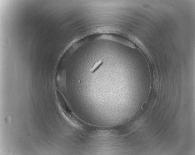 X0000070860530200606302048