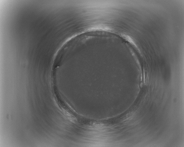 X0000070860531200606302048