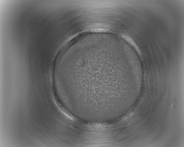 X0000070860533200606302048