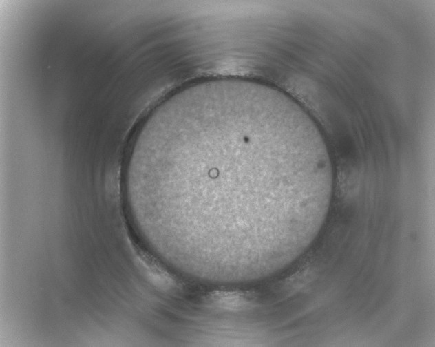 X0000070860534200606302048