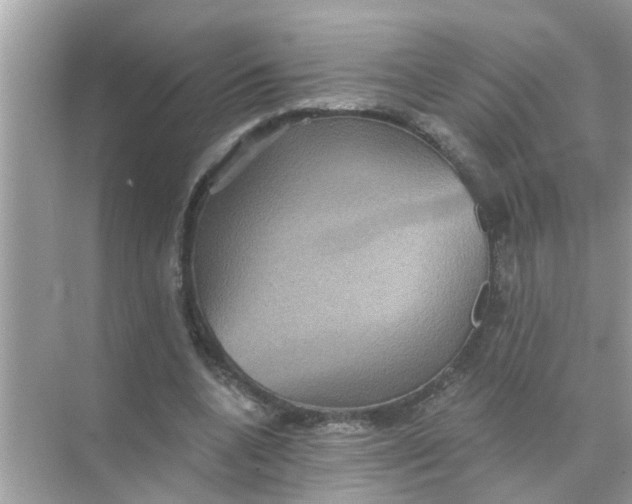 X0000070860536200606302048