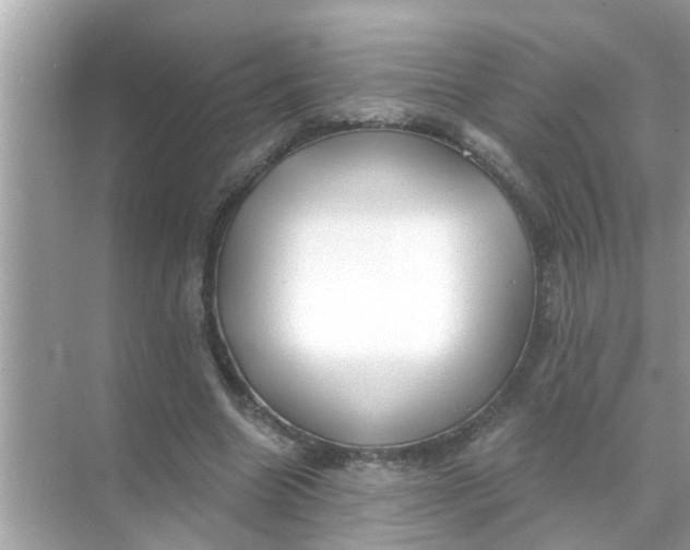 X0000070860538200606302048