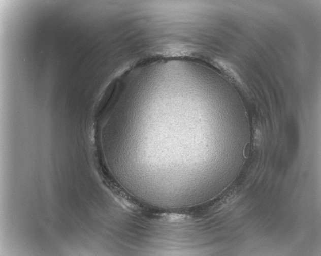 X0000070860539200606302048