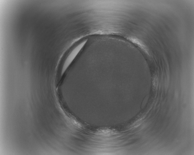 X0000070860540200606302048