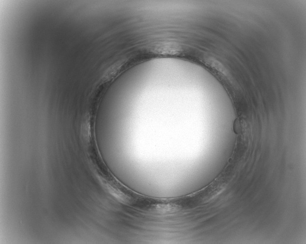 X0000070860541200606302048