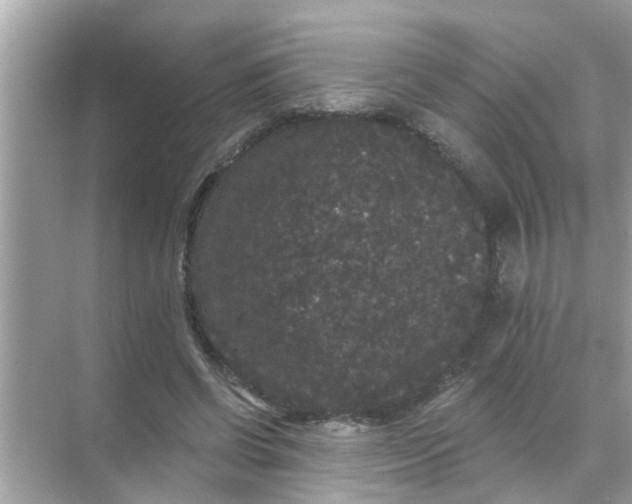 X0000070860542200606302048