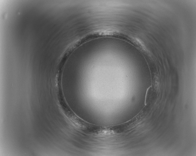 X0000070860543200606302048