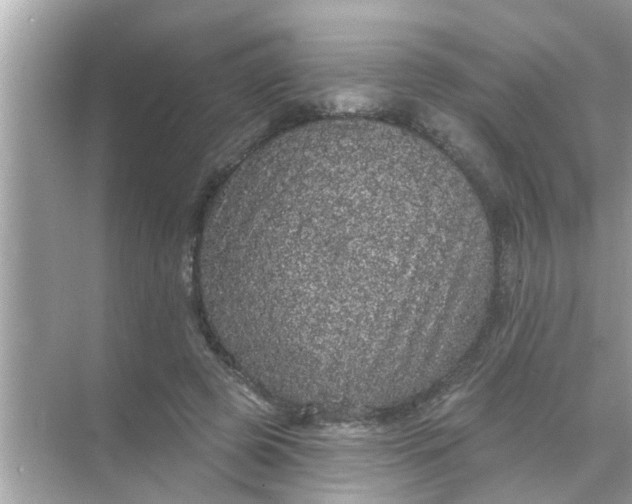 X0000070860545200606302048