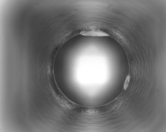 X0000070860546200606302048