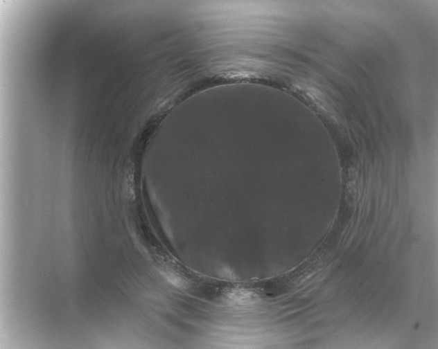 X0000070860547200606302048