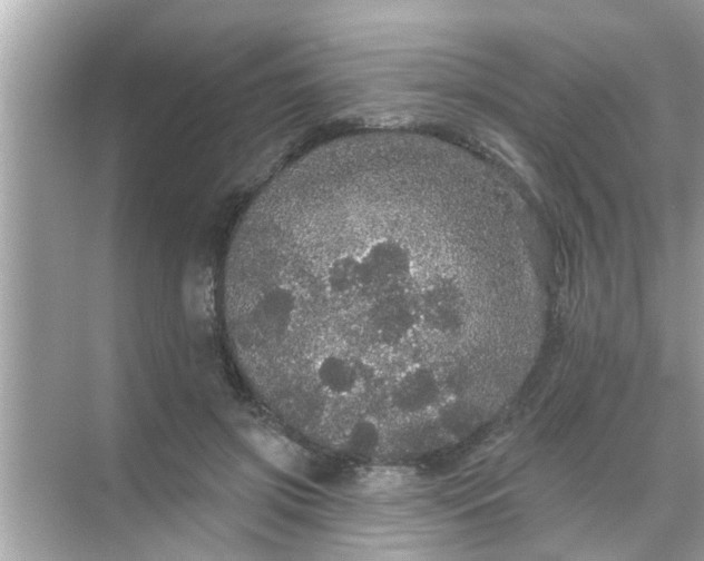 X0000070860549200606302048