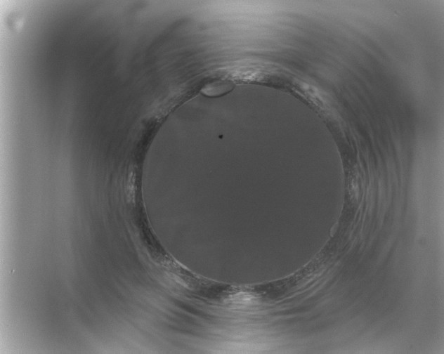 X0000070860551200606302048