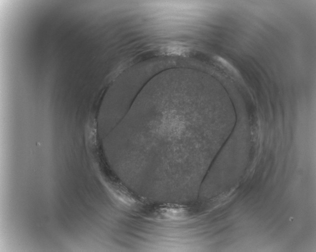 X0000070860552200606302048