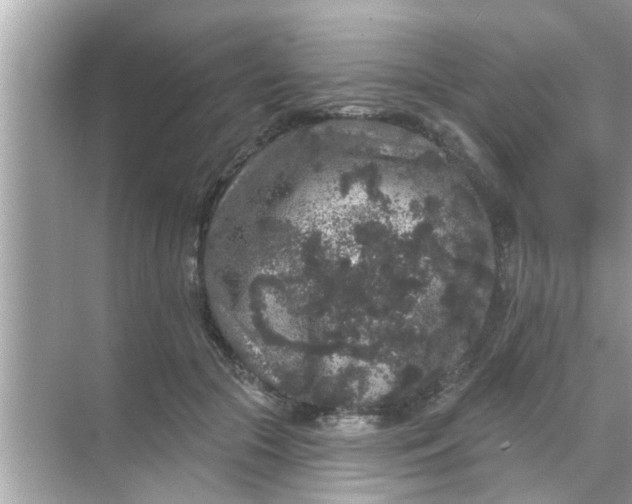 X0000070860553200606302048