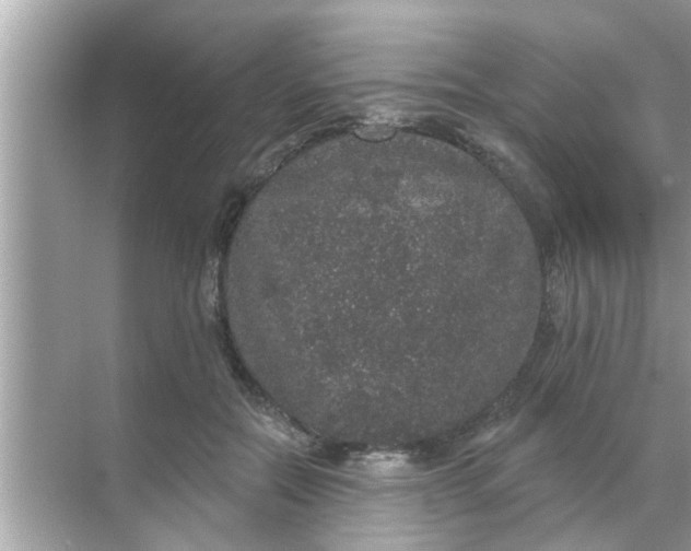 X0000070860554200606302048