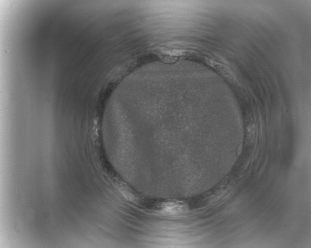 X0000070860555200606302048