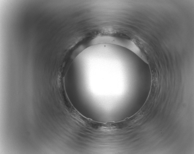 X0000070860556200606302048