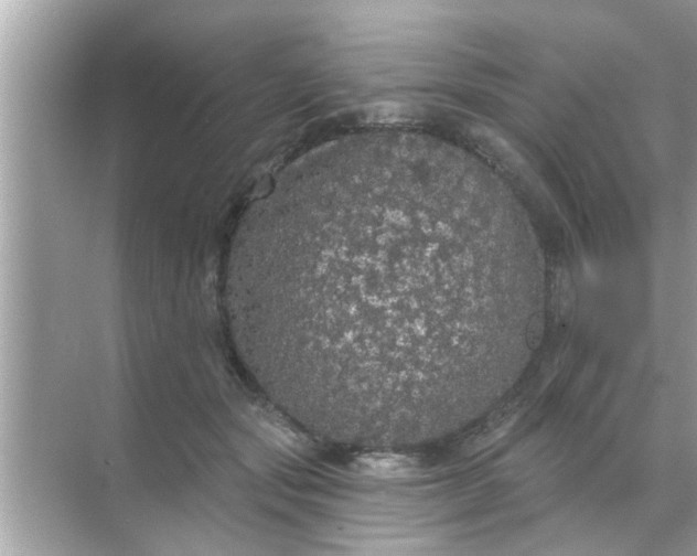 X0000070860557200606302048