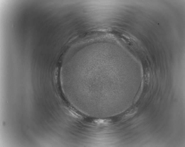 X0000070860558200606302049