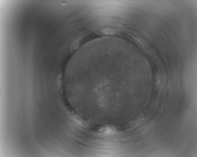 X0000070860559200606302049