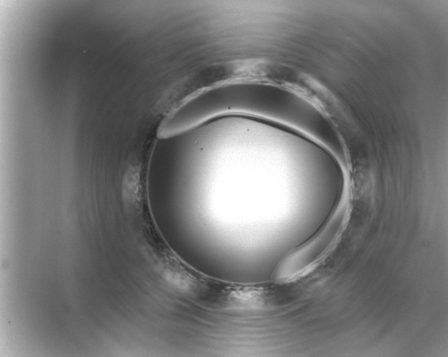 X0000070860560200606302049