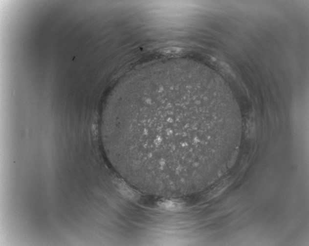 X0000070860561200606302049