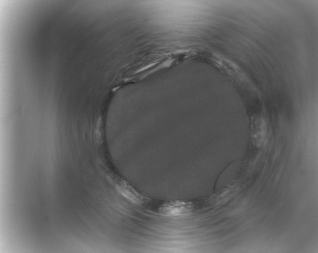 X0000070860563200606302049