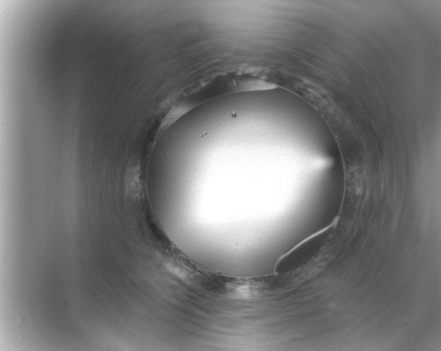 X0000070860564200606302049