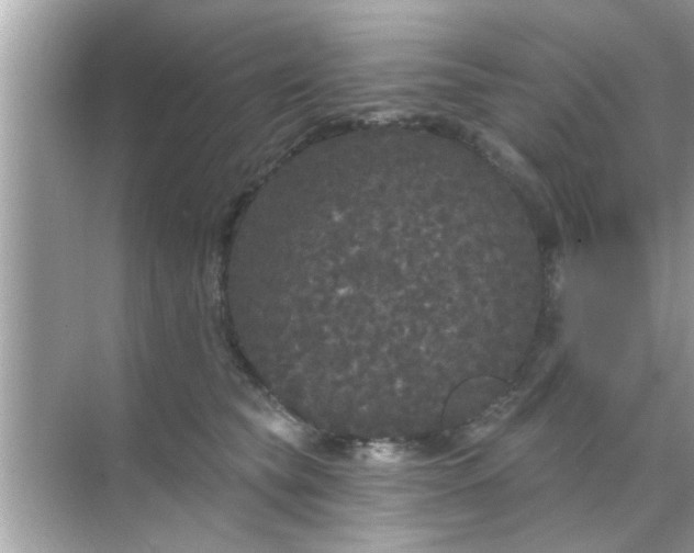 X0000070860565200606302049