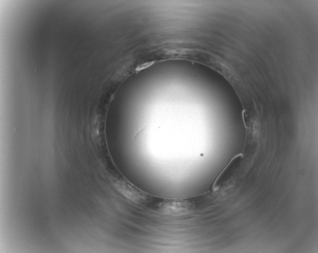 X0000070860567200606302049