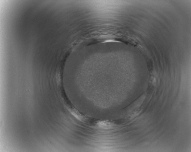 X0000070860568200606302049