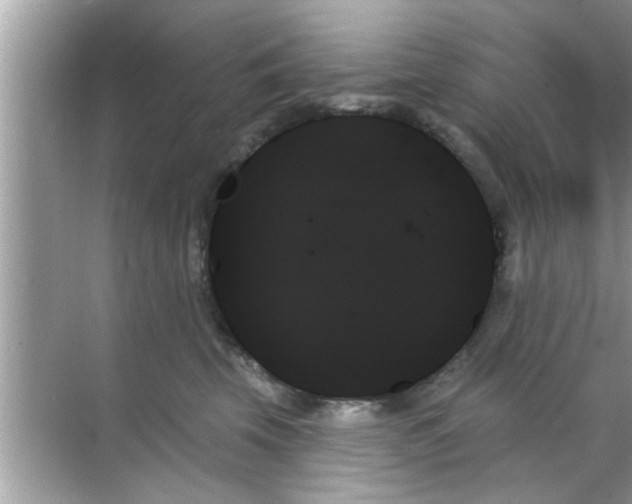 X0000070860569200606302049