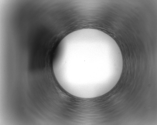 X0000070860570200606302049