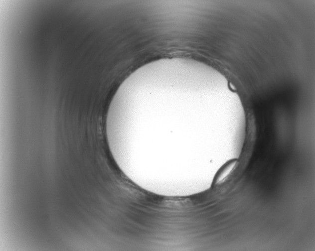 X0000070860571200606302049