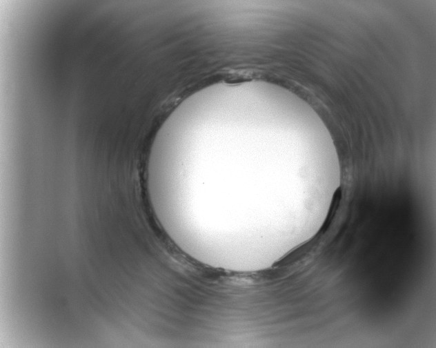 X0000070860572200606302049