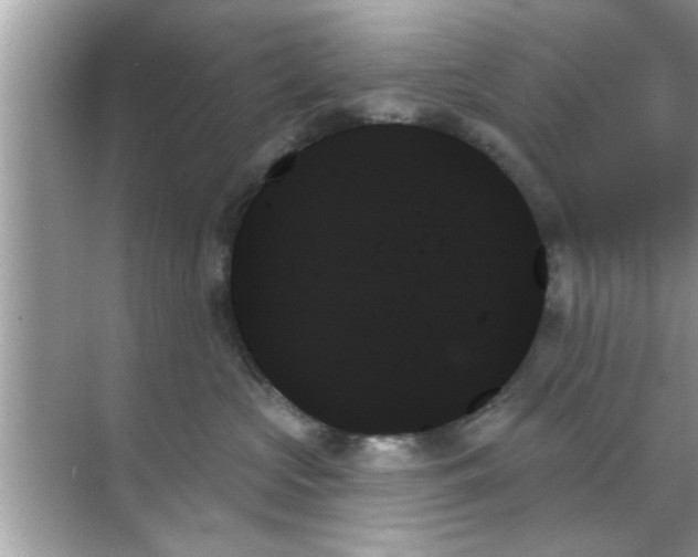 X0000070860573200606302049